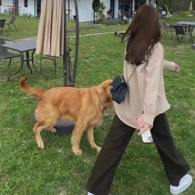 疯狂天才